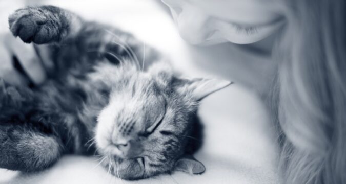 ‘Kattenliefhebbers houden ook van bondage’