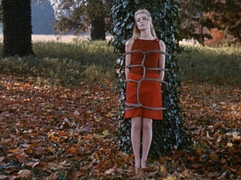 Belle de jour – film