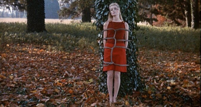 Belle de jour – film