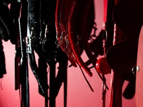 Helft van de ouders wil geen BDSM’er als buur of babysit
