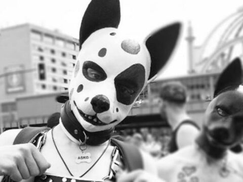 Besmette gevallen apenpokken gelinkt aan Antwerps fetisjfestival, meldt organisatie zelf