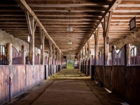 Vrouwelijk stel werd uitgebuit en vernederd als slavinnen in zorgboerderij
