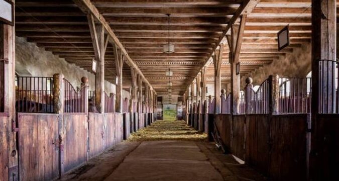 Vrouwelijk stel werd uitgebuit en vernederd als slavinnen in zorgboerderij