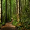 Vastgebonden Duitser uit bos gered na uit de hand gelopen seksspel Vastgebonden Duitser uit bos gered na uit de hand gelopen seksspel